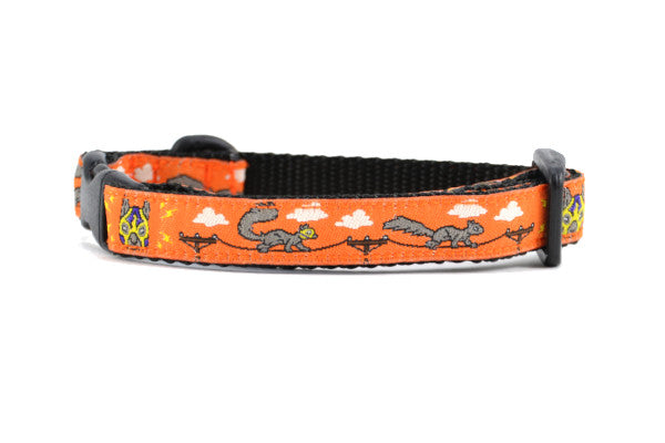 Lucha Squirrels - Sparky - Breakaway Cat Collars